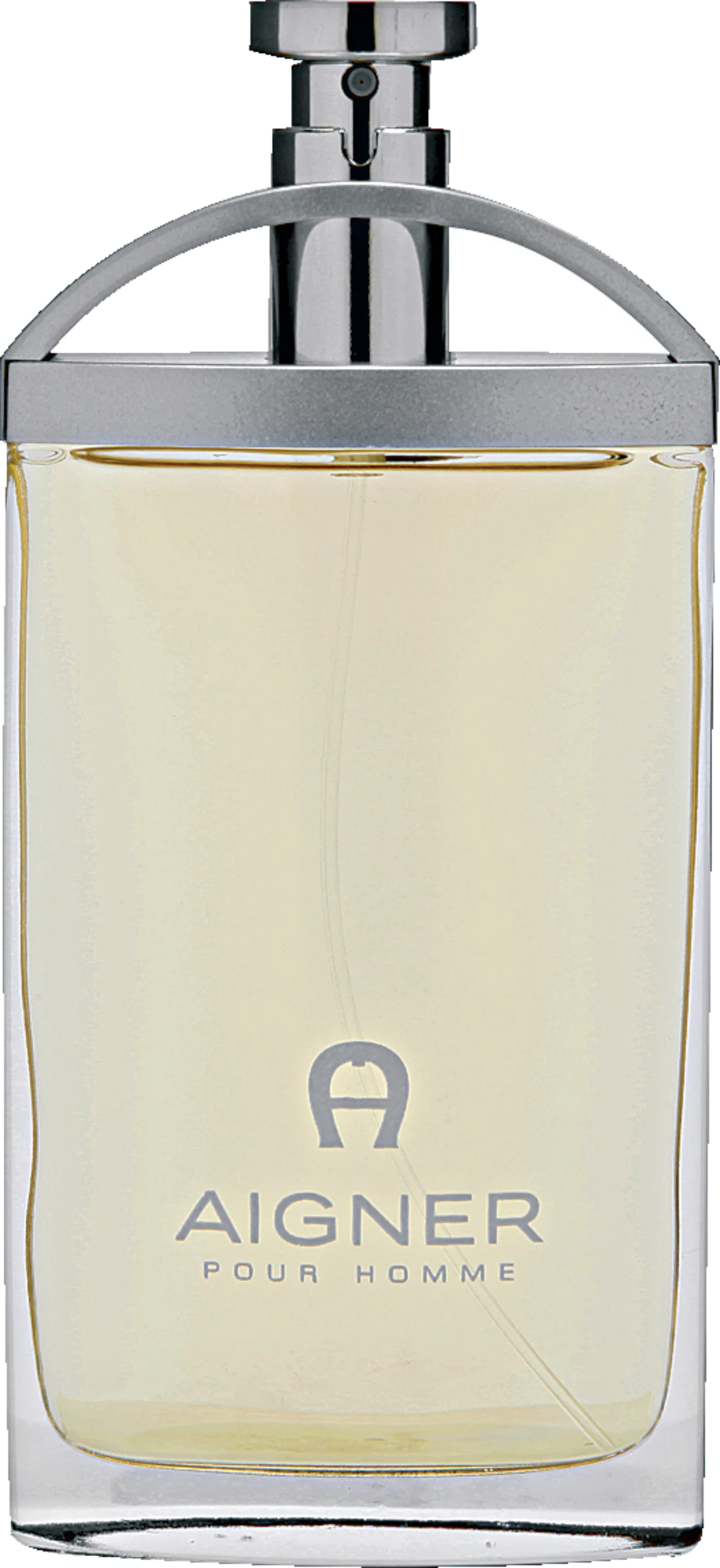 Etienne Aigner Pour Homme, EdT 100 Ml 1 Etienne Aigner Pour Homme, EdT 100 Ml