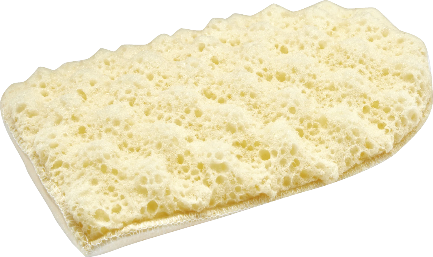 Schwammhandschuh 2 Schwammhandschuh – Bild 2