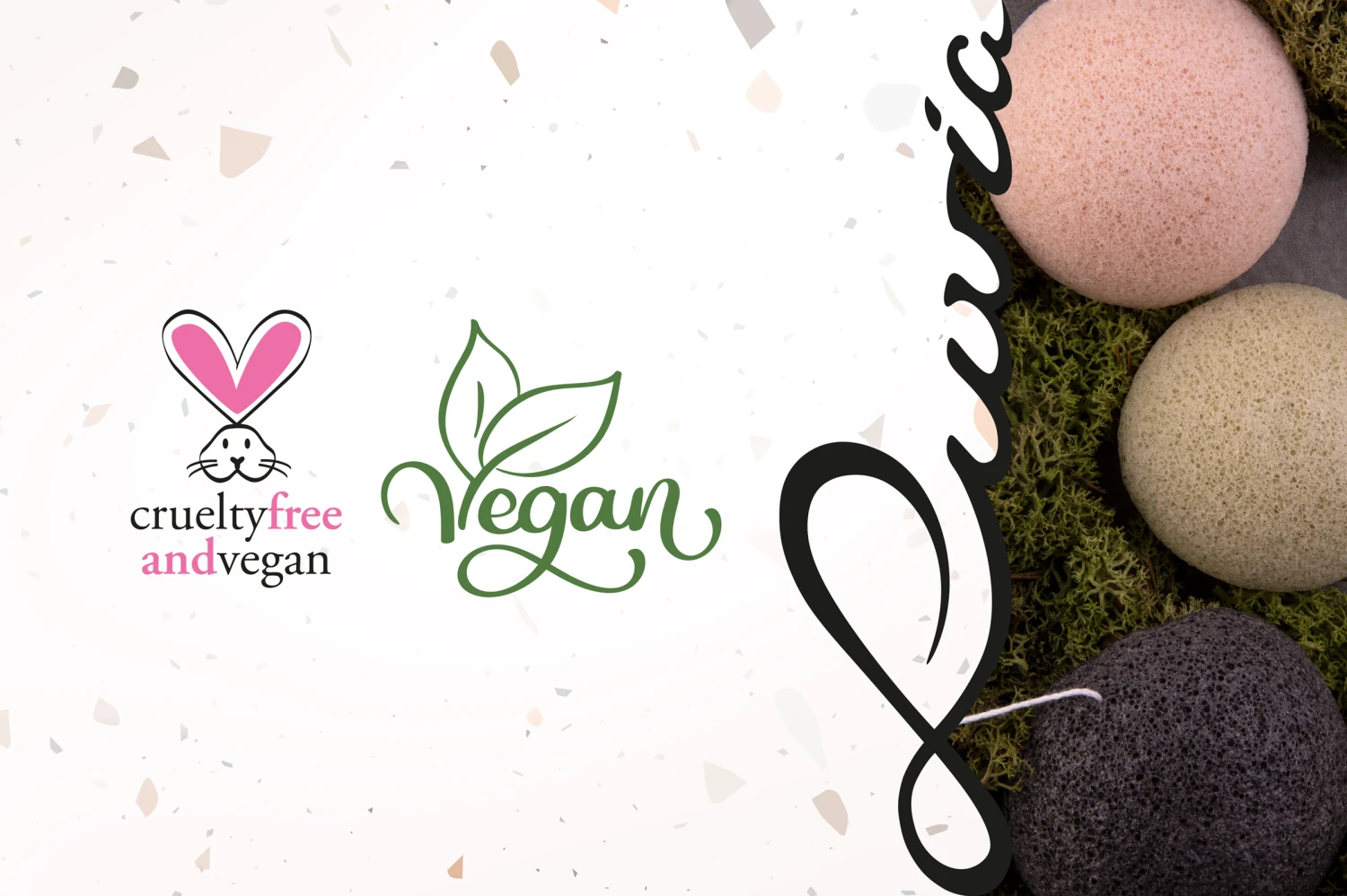 Konjac Schwamm - Set Vol. 1 9 Konjac Schwamm - Set Vol. 1 – Bild 9