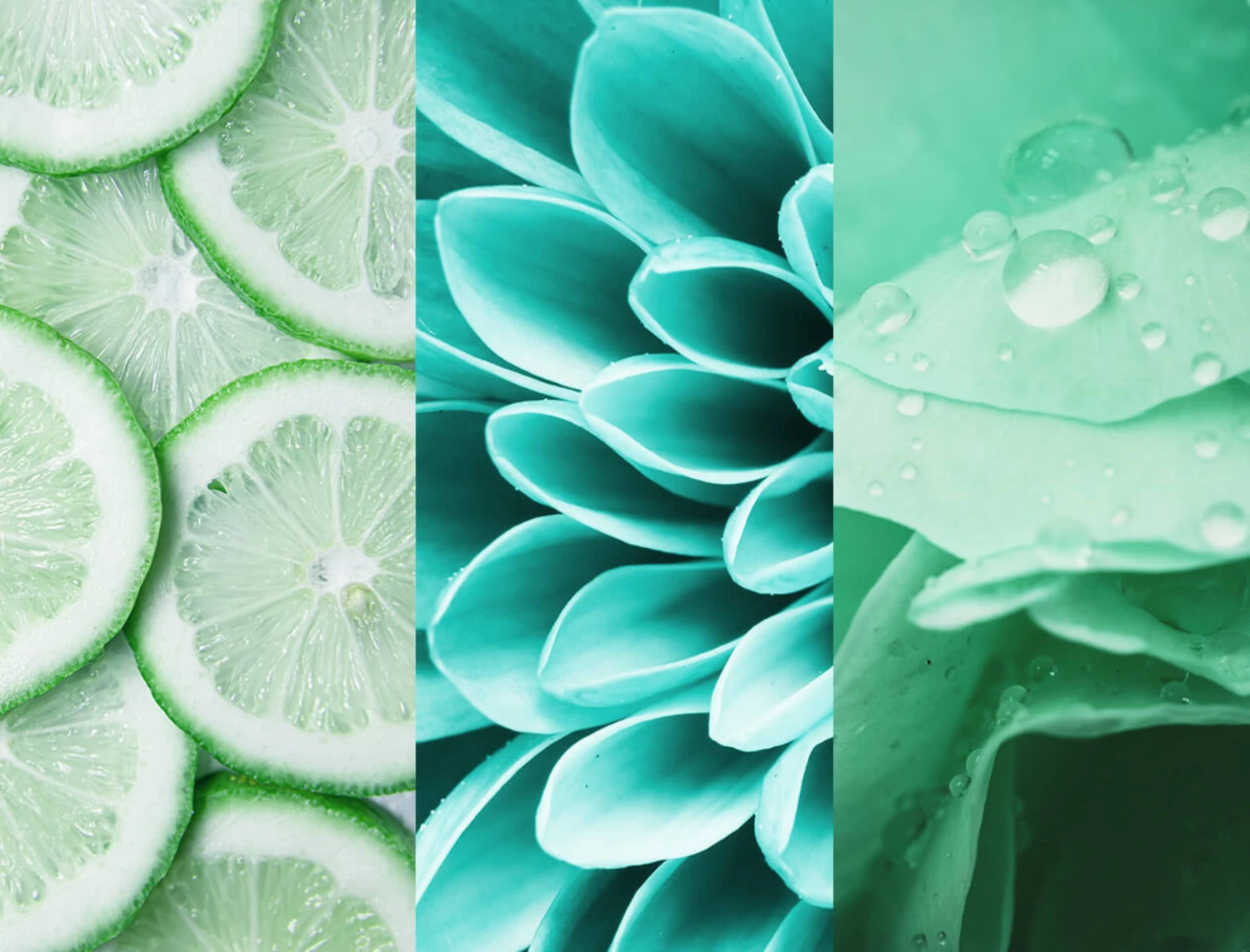 Deodorant Spray N°7 Fresh Lime 3 Deodorant Spray N°7 Fresh Lime – Bild 3