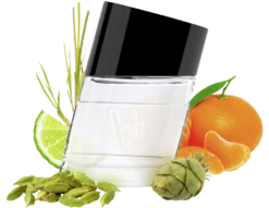 Bruno Banani Pure Man, Edt 30 Ml -Exquisite Pflege MAM 7705651 SHOP IMAGE 1.4