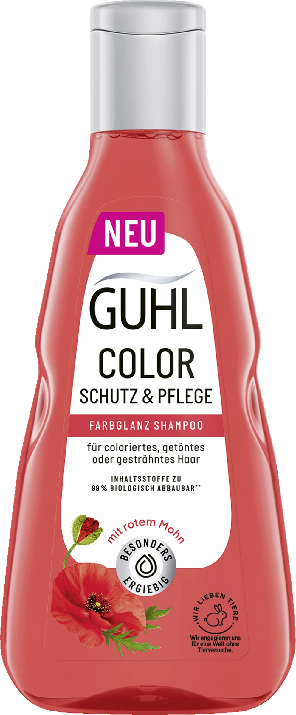 Color Color Schutz & Pflege Farbglanz Shampoo 1 Color Color Schutz & Pflege Farbglanz Shampoo